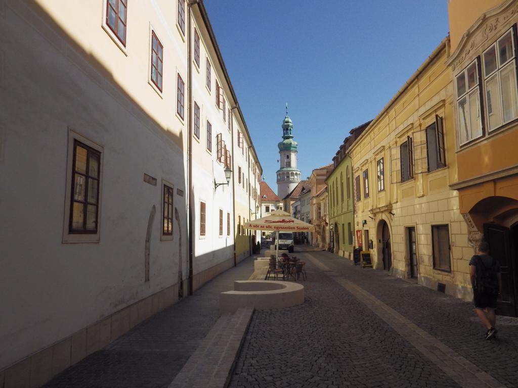 Belvarosi Erdesz-Lak Sopron Eksteriør bilde